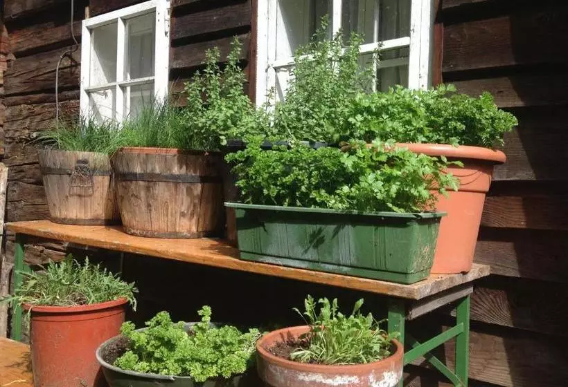 ホテル Alte Schmiede   Das Kleine