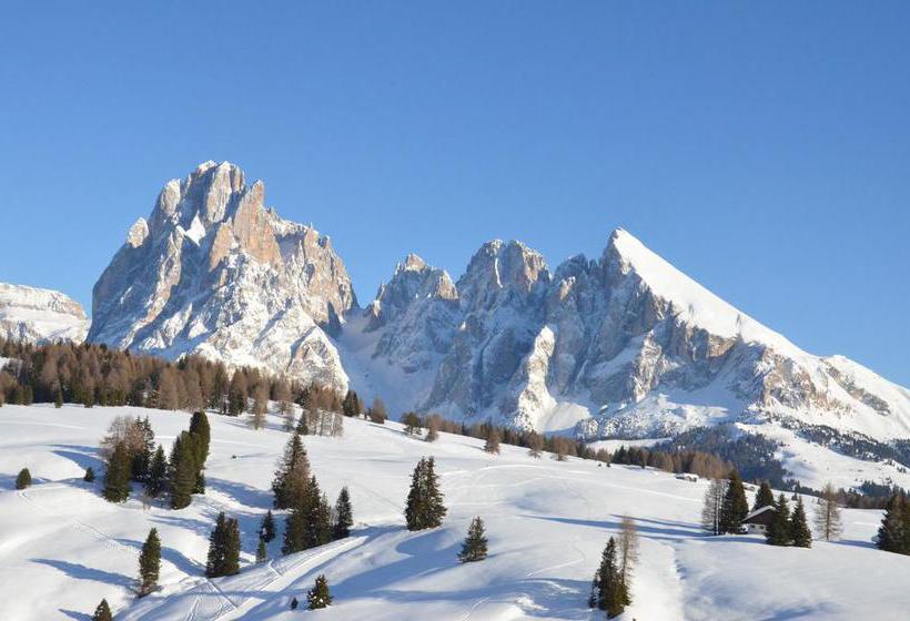 هتل Chalet Dlaces