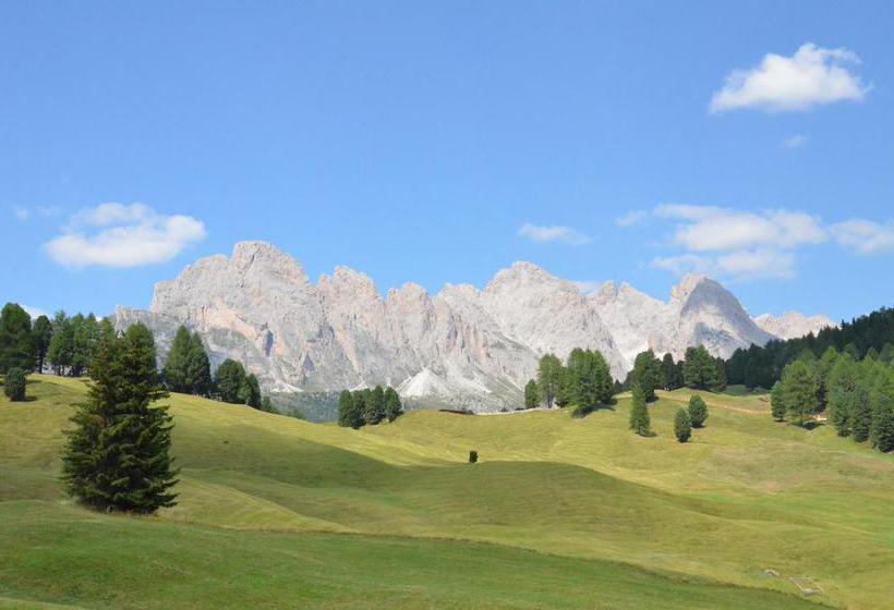 هتل Chalet Dlaces