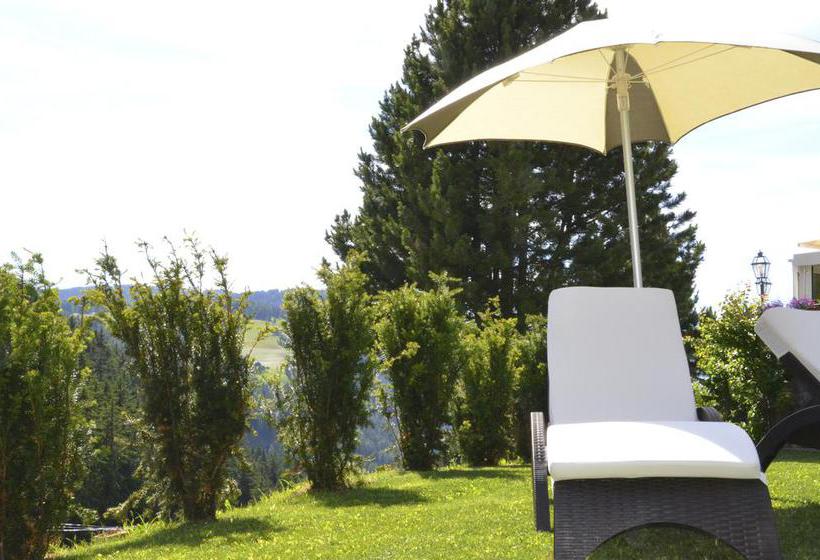 هتل Chalet Dlaces