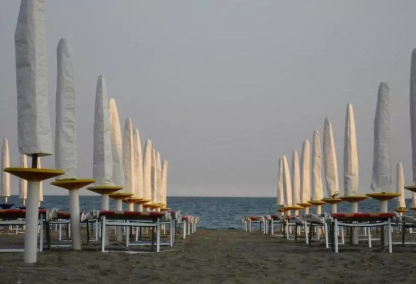 Hotelli International