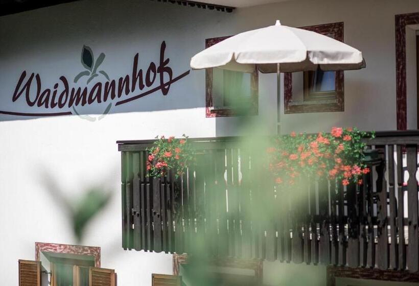 فندق Waidmannhof