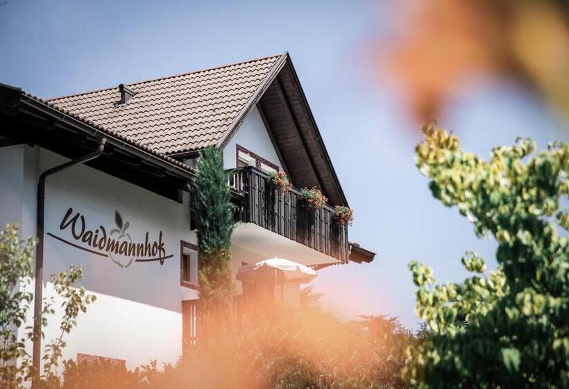 فندق Waidmannhof