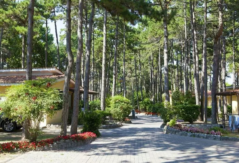 リゾートホテル Villaggio Turistico Internazionale