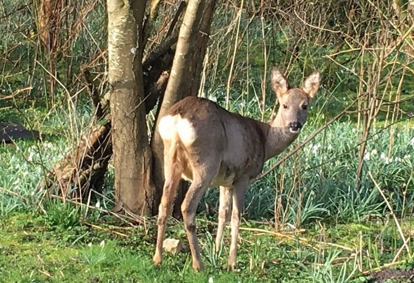 Poppelgaarden Rømø   Hostel