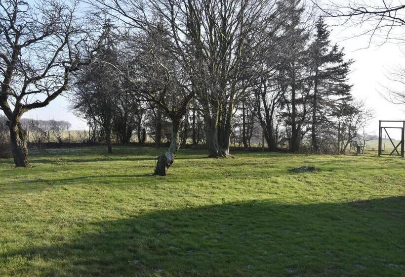 ベッドアンドブレックファースト Sunset Bed & No Breakfast