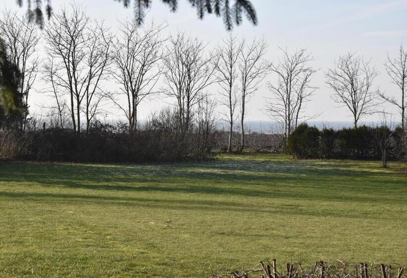 ベッドアンドブレックファースト Sunset Bed & No Breakfast