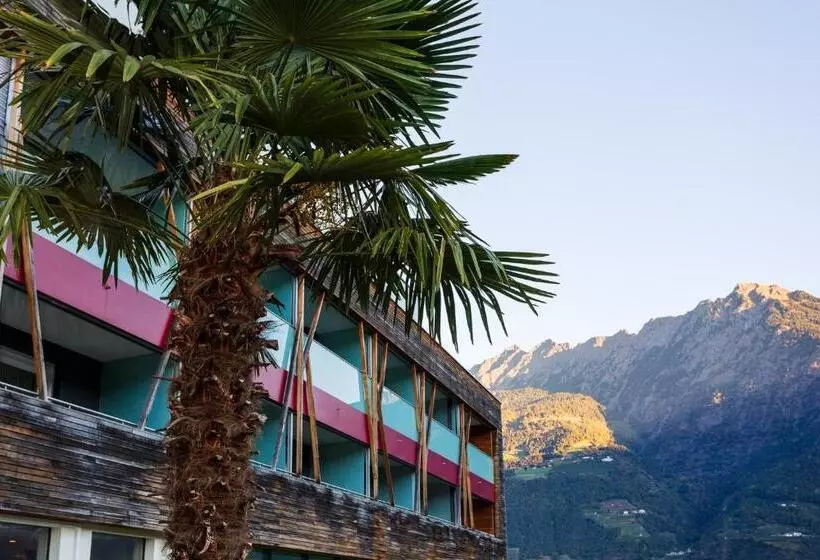 Bio & Wellnesshotel Pazeider   Healing Garden Above Meran