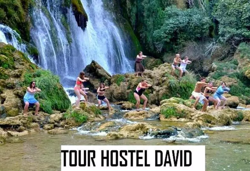 Hostel David