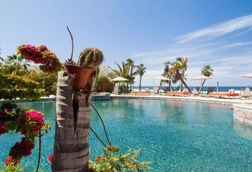 Hotelli Cerritos Surf Town   Beach Front Property