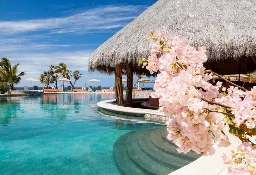 Hotelli Cerritos Surf Town   Beach Front Property