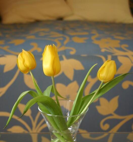 בית מלון כפרי De Kruumte