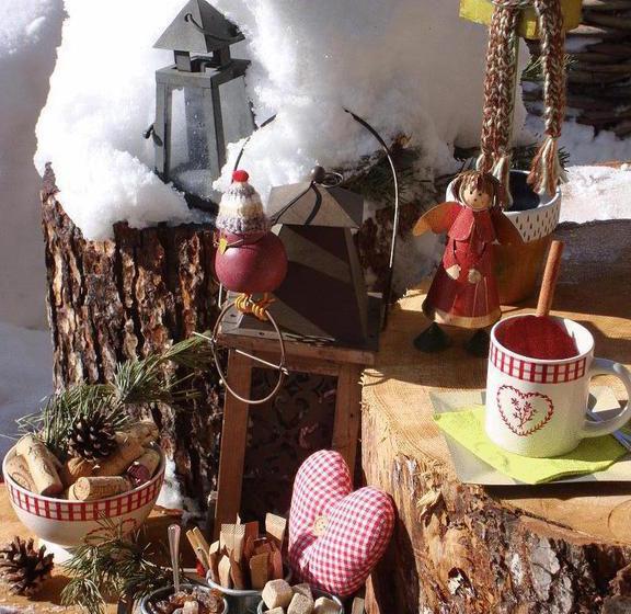 Отель Ehrwalderhof