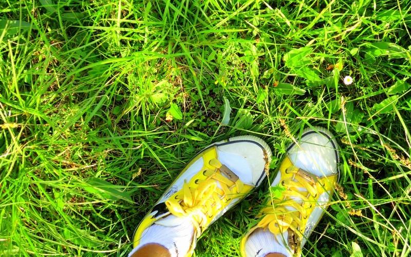 Отель Ehrwalderhof