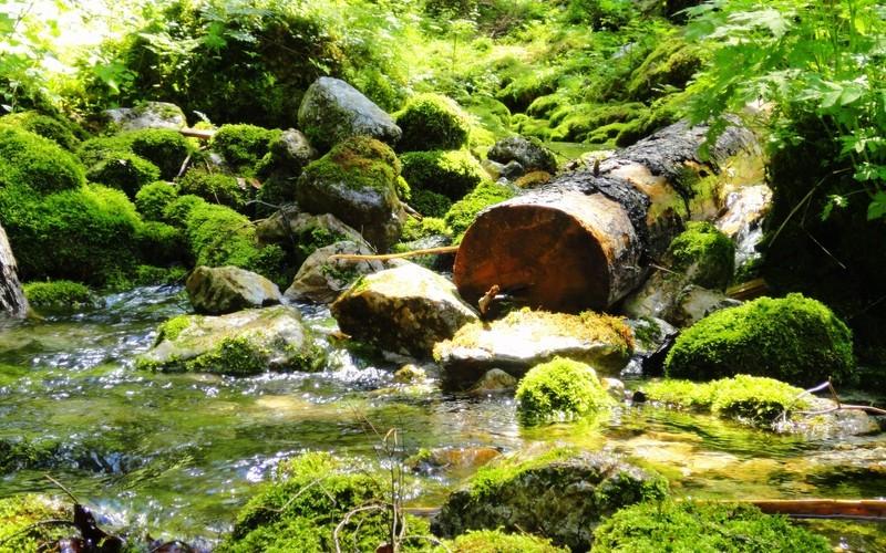 Отель Ehrwalderhof