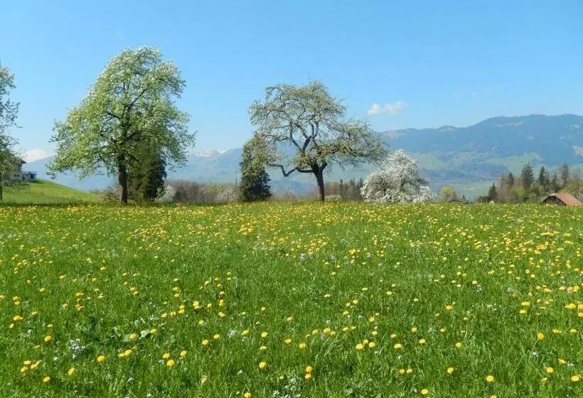 Hotelli Klausenhof Flüeli