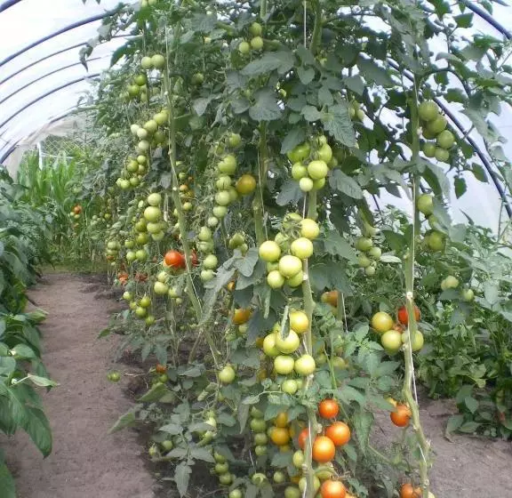 ホテル Pension Märkischheide