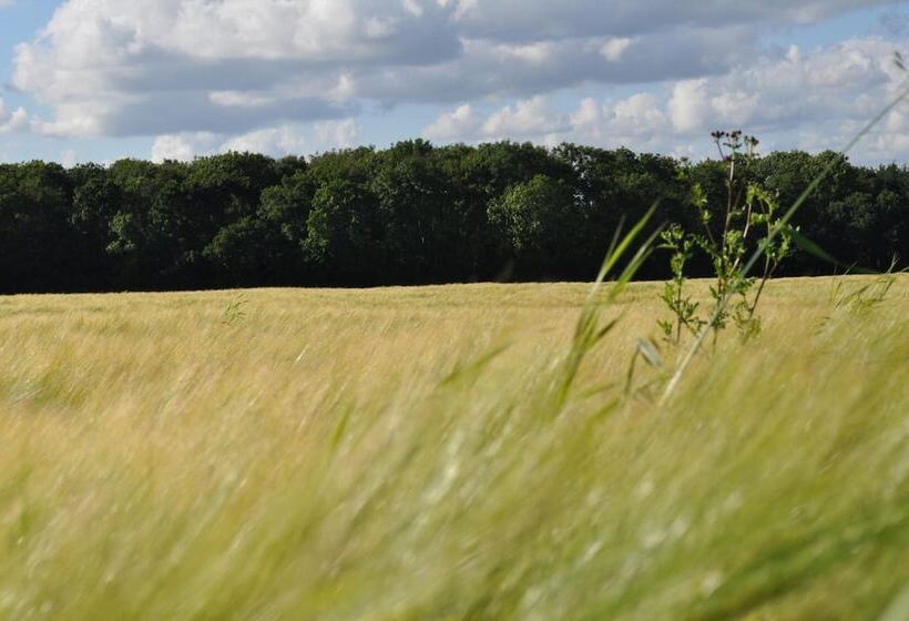 Koebenhovedskov Bed & Breakfast