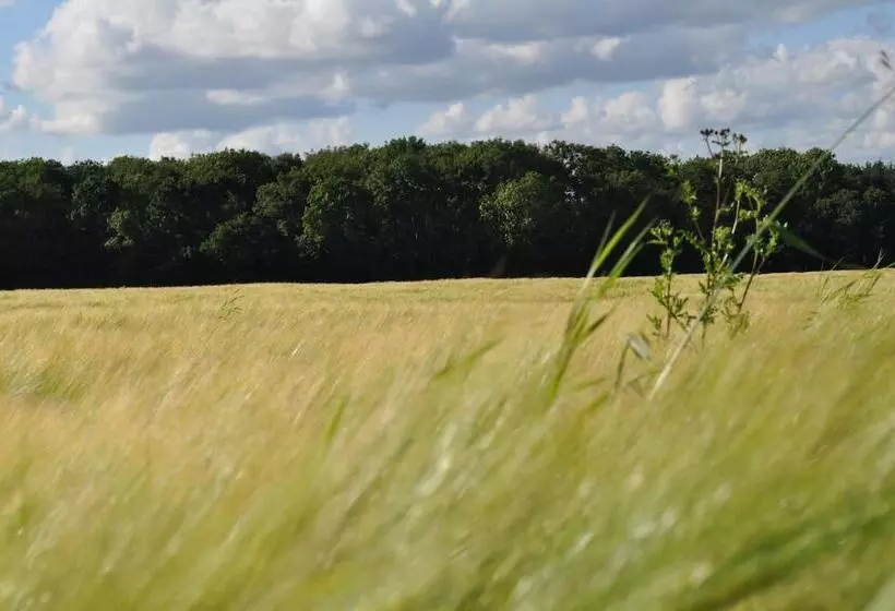 Koebenhovedskov Bed & Breakfast