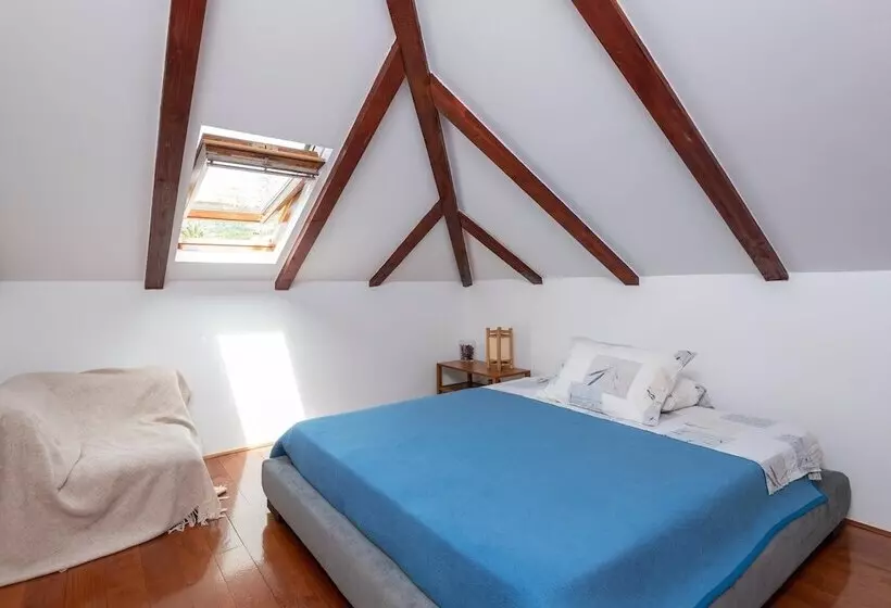 City B&b