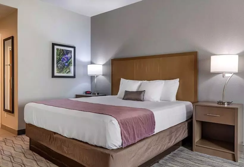 Hotelli Best Western Plus Pauls Valley