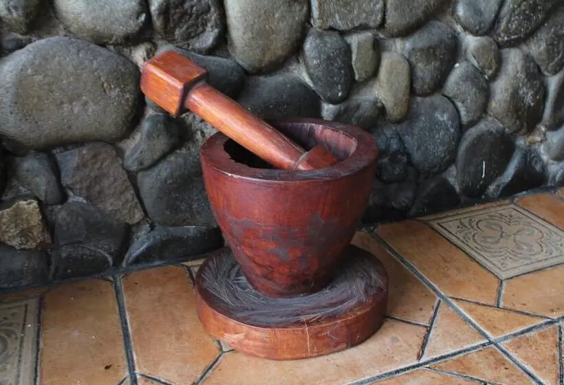 هتل Cañas