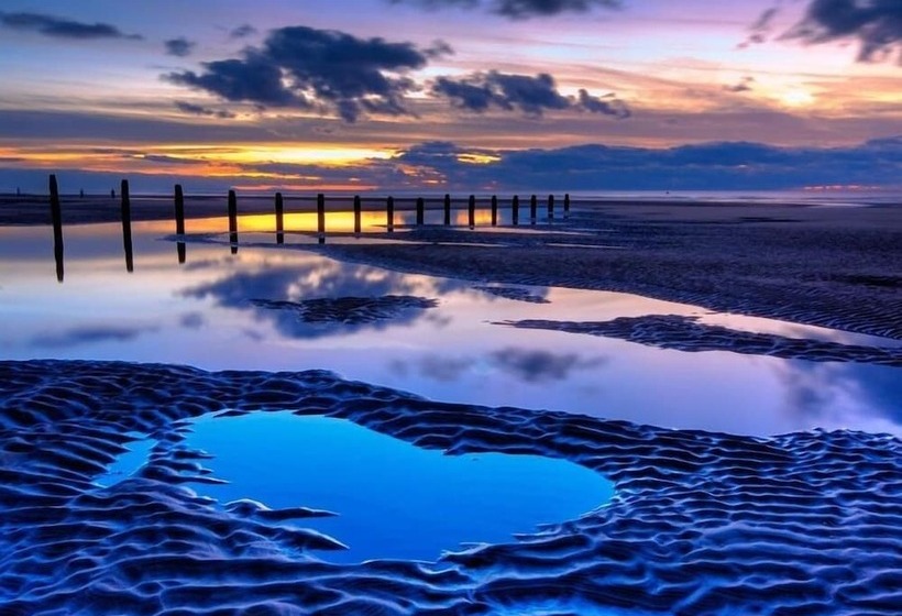 Palm Beach Hotel By The Sea