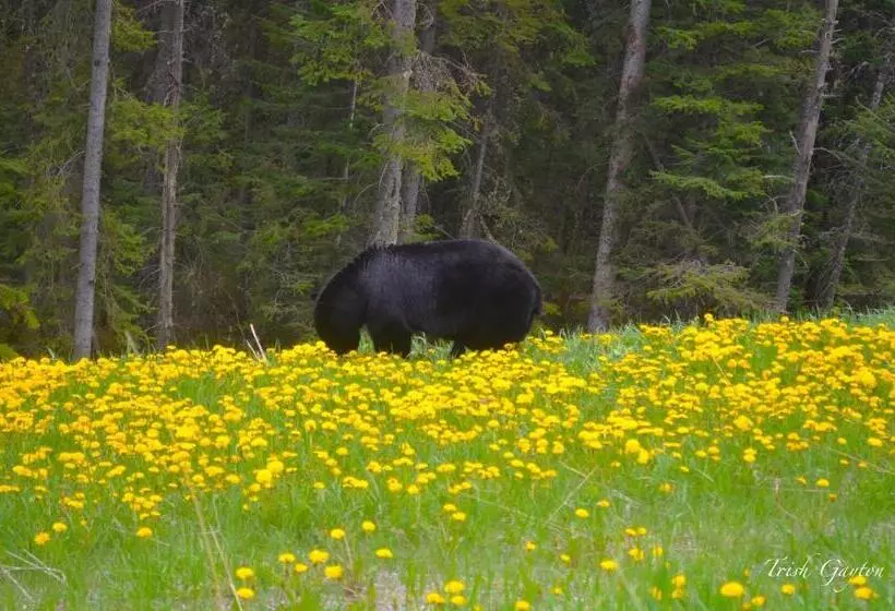 Hotelli Paradise Resort Club And Spa