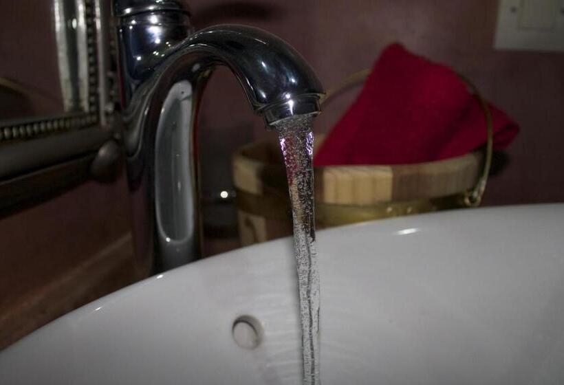 펜션 Collier De La Colombe