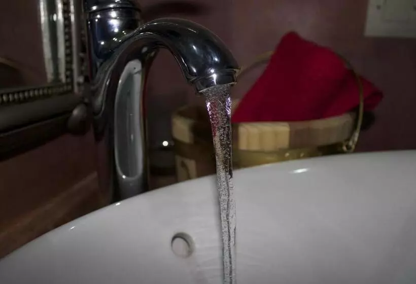 پانسیون Collier De La Colombe