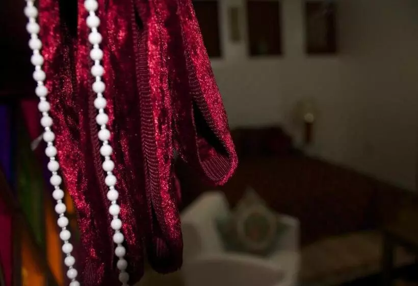 پانسیون Collier De La Colombe