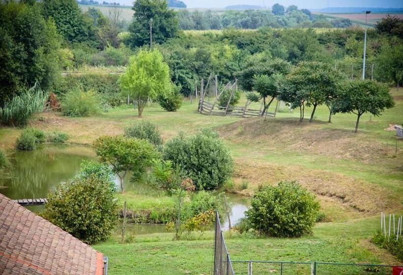 膳宿费 Pansion Budimir