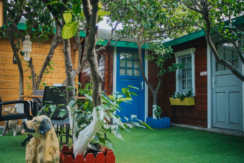 בית מלון כפרי Pirlanta Butik