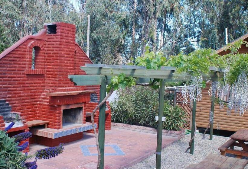 リゾートホテル Cabañas Barrachina, Punta De Tralca