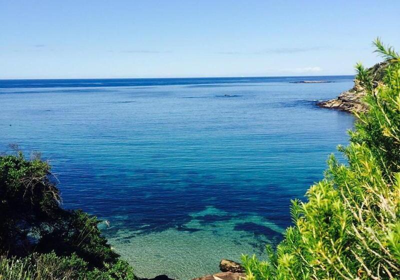 旅馆 Coogee Beach House