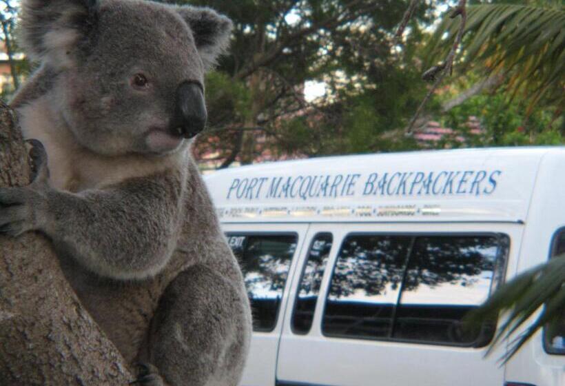 הוסטל Port Macquarie Backpackers