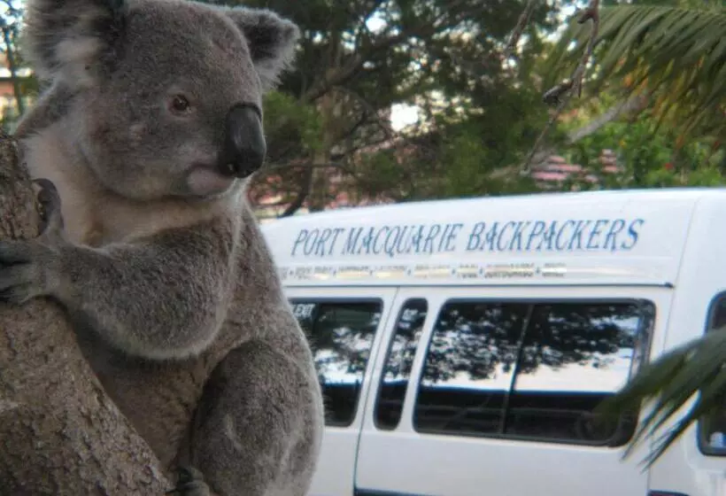 Retkeilymaja Port Macquarie Backpackers