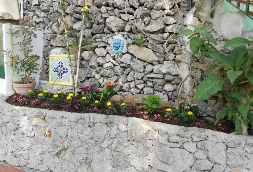 Casa Vacanze Bouganvillea
