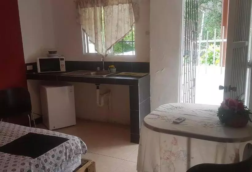 ホテル Posada Nativa Trinsan Centro