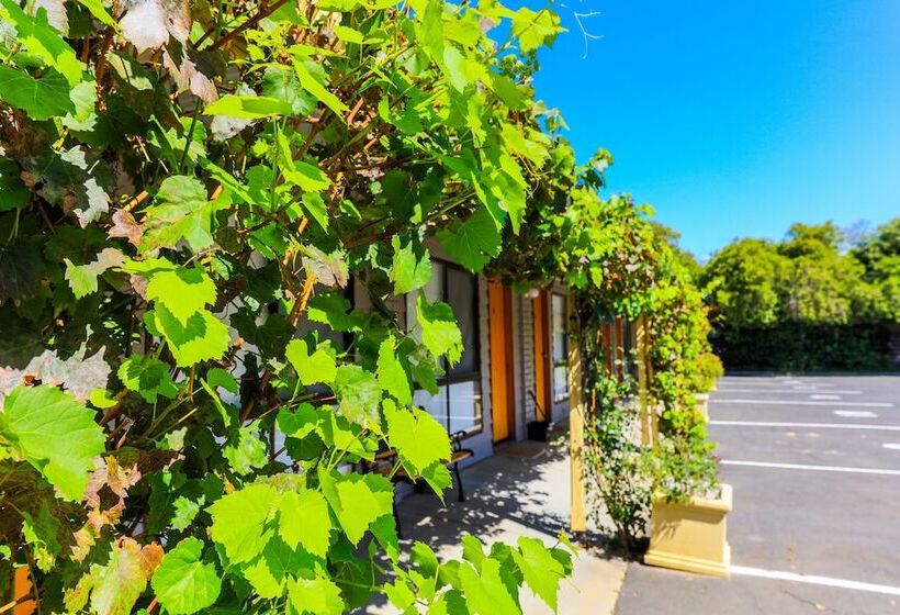 מוטל Country Roads Motor Inn Naracoorte