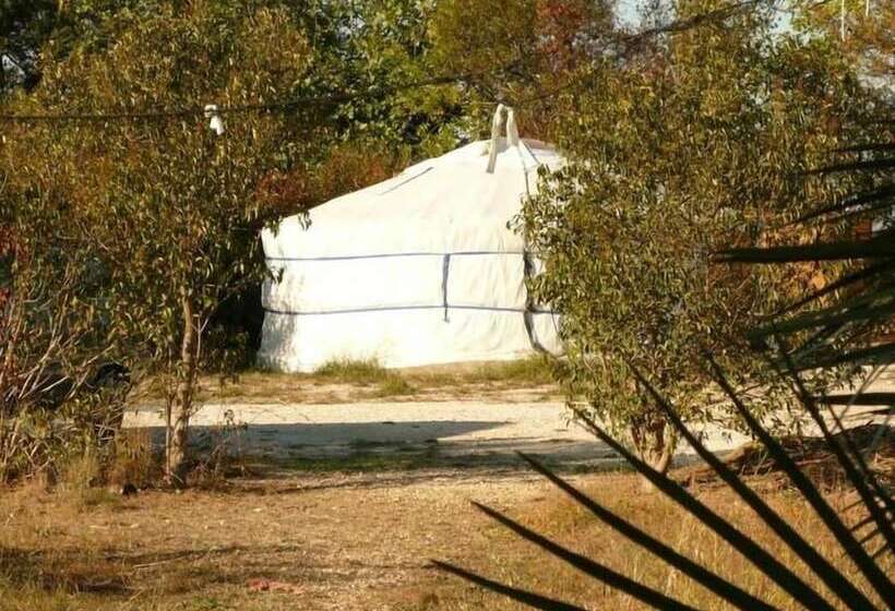 بنسيون La Maison De Verotte