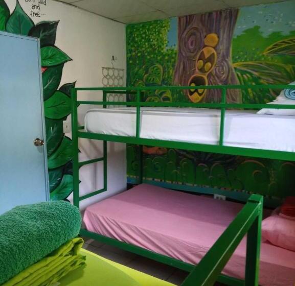 Taca Tucan Hostel