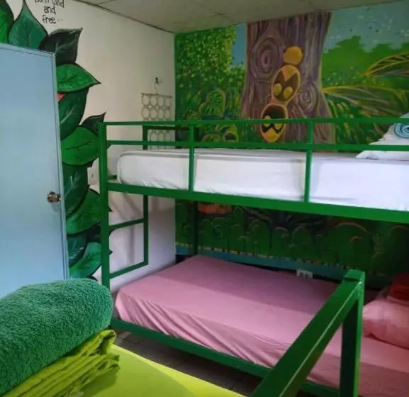 Taca Tucan Hostel