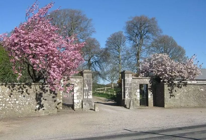 Ash Hill B&b