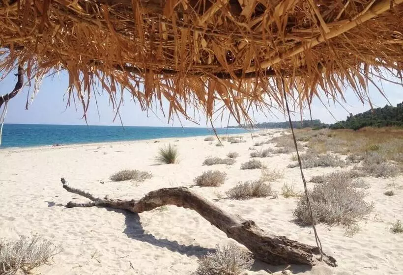 B&b Oasi