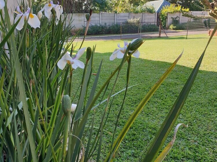 住宿加早餐  Haggards On Hilldrop