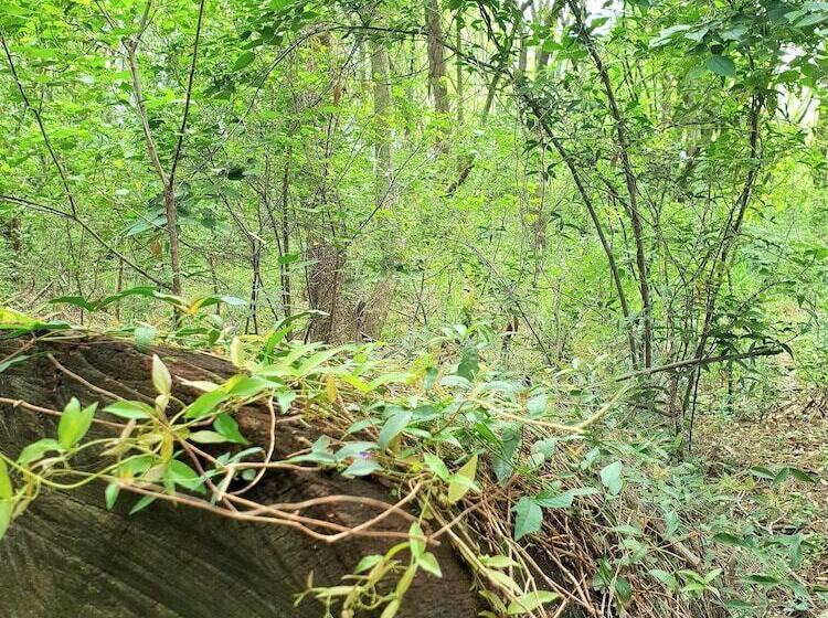 住宿加早餐  Haggards On Hilldrop