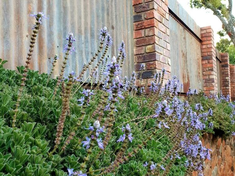 住宿加早餐  Haggards On Hilldrop