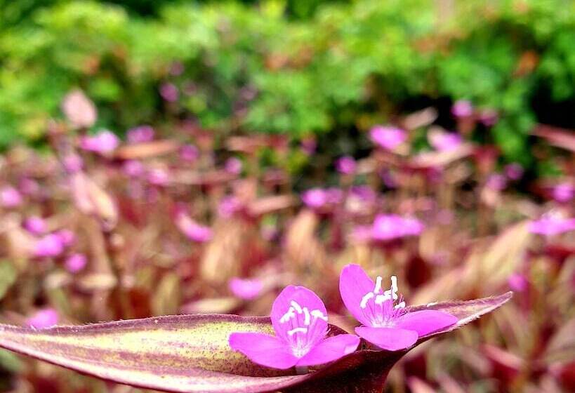 住宿加早餐  Haggards On Hilldrop
