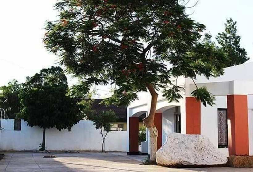 تختخواب و صبحانه Vintage View Guest House